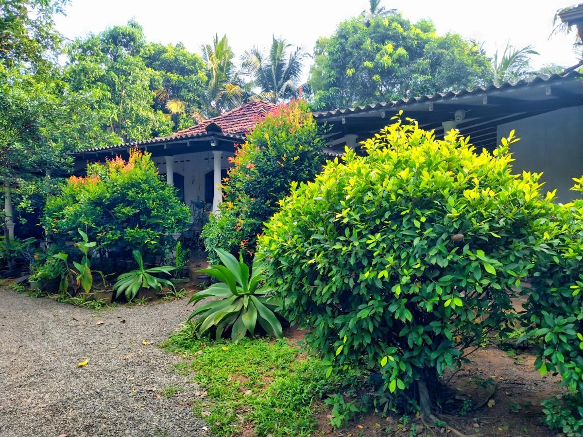 Dickwella Green Villa ภายนอก รูปภาพ